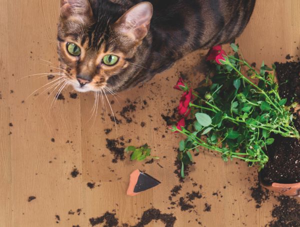 Преимущества VINYLINE